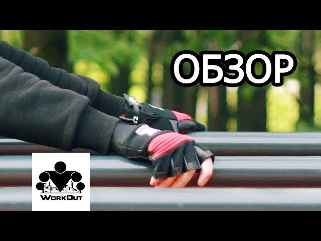 Перчатки для Тренировок WORKOUT: Обзор Моделей с Пальцами и Без